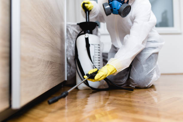 Pest Prevention Services in Independence, OR