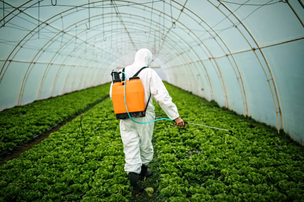 Best Mosquito Control Services  in Independence, OR