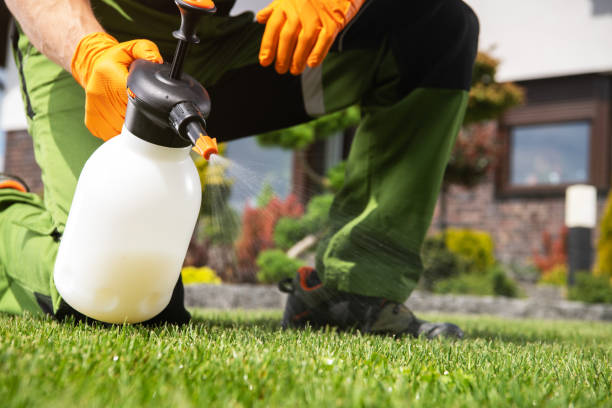 Wildlife Control Services in Independence, OR