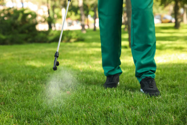 Best Pest Removal Services  in Independence, OR
